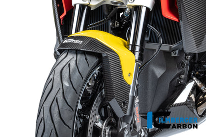 Voorspatbord carbon hoogglans BMW R1300R Performance (2025+)
