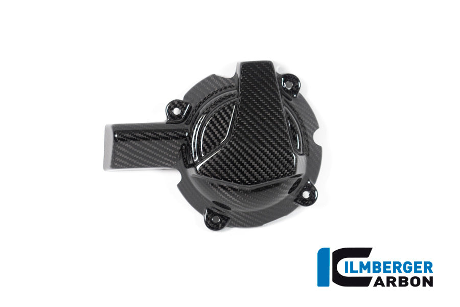Dynamodeksel glanzend carbon BMW M 1000 R (2023-2024)