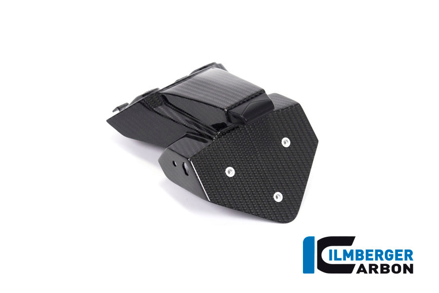 Support de plaque d'immatriculation Glossy Carbon M1000R 2023+ BMW M 1000 R (2023+)