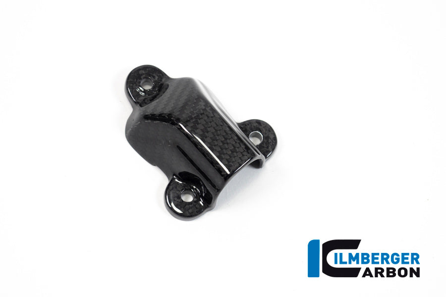 Waterpompdeksel glanzend carbon BMW M 1000 R (2023-2024)