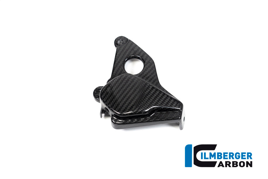 Ontstekings Deksel glanzend carbon BMW M 1000 RR (2025+)