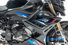 Frame Cover rechts glanzend carbon BMW M 1000 R (2023-2024)