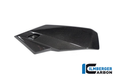 Bellypan links glanzend carbon BMW M 1000 R (2025+)