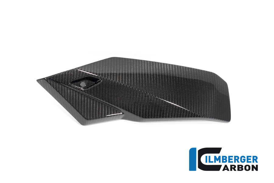 Bellypan links glanzend carbon BMW M 1000 R (2025+)