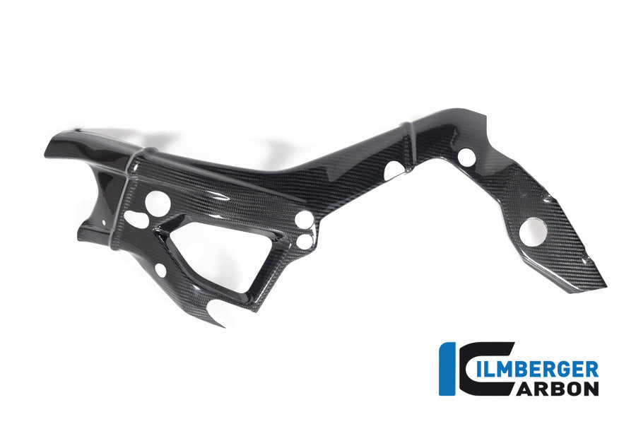 Frame Cover links glanzend carbon BMW M 1000 R (2025+)