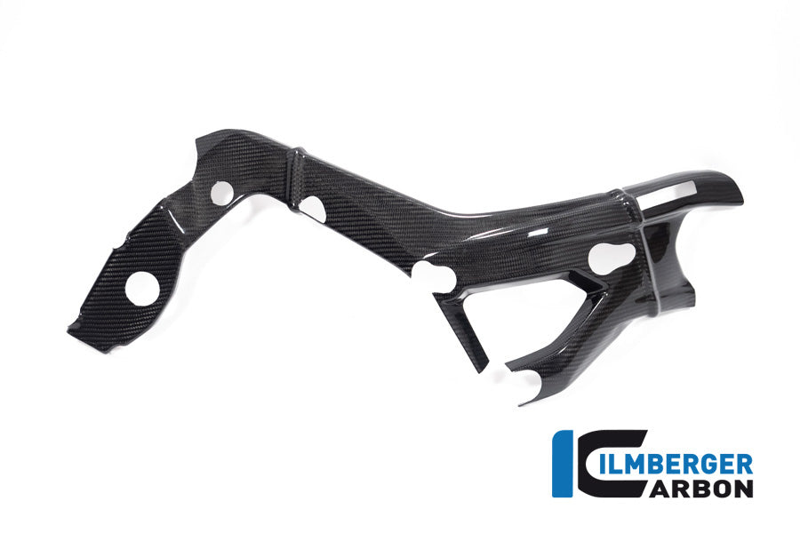 Frame Cover rechts glanzend carbon BMW M 1000 R (2025+)