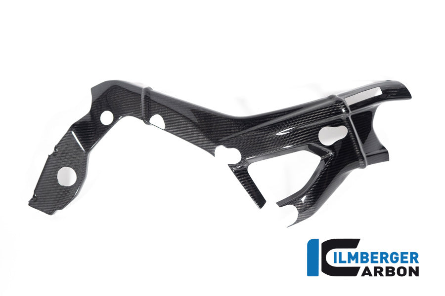 Frame Cover rechts glanzend carbon BMW M 1000 R (2023-2024)