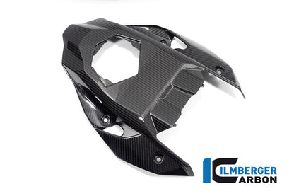 Sous-casse arrière Carbon brillant M1000R 2023+ BMW M 1000 R (2023+)