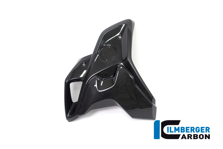 Air Deflector Side Fairring Carbon BMW R1200GS LC (2017-2018)