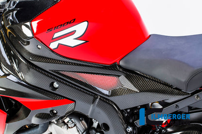 Panneau latéral du réservoir Carbon côté gauche - BMW S1000RR (2017-2018)