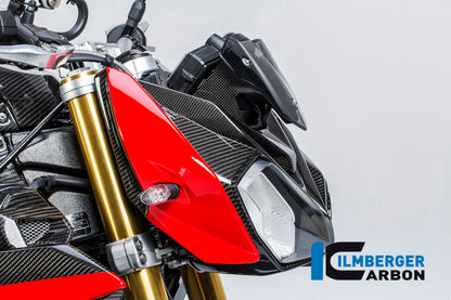 Panneau de phares en carbone droit BMW S1000R (2017-2020)