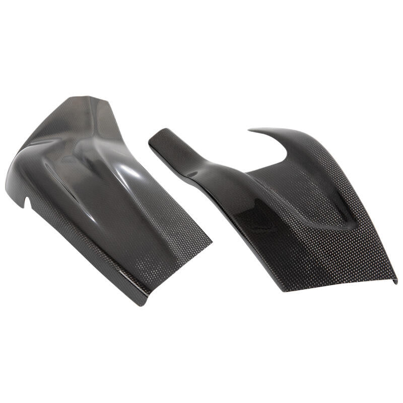 Protégeurs Lightch Carbon Achterbrug (2 pcs.) (Brillant) BMW S 1000 R (2017-2020)