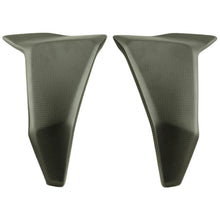 Lightech carbon achterbrug beschermers (2 st.) (glanzend) Ducati Hypermotard 950 RVE (2020-2025)