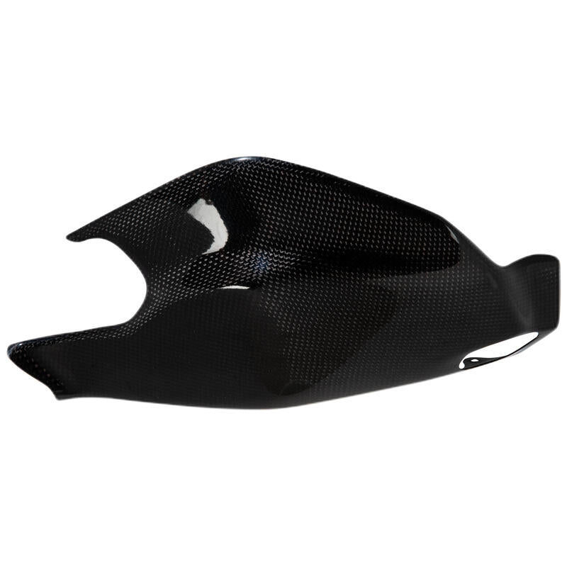 Lightch Carbon Achterbrug Protector (Glossy) Ducati Panigale 1199 (2012-2015)