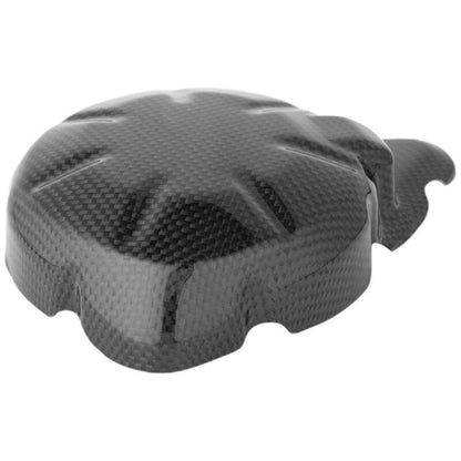 LightEch Carbon Dynamodext (glossy) Kawasaki Z900 SE (2022-2024)