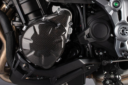 LightEch Carbon Dynamodext (glossy) Kawasaki Z900 SE (2022-2024)