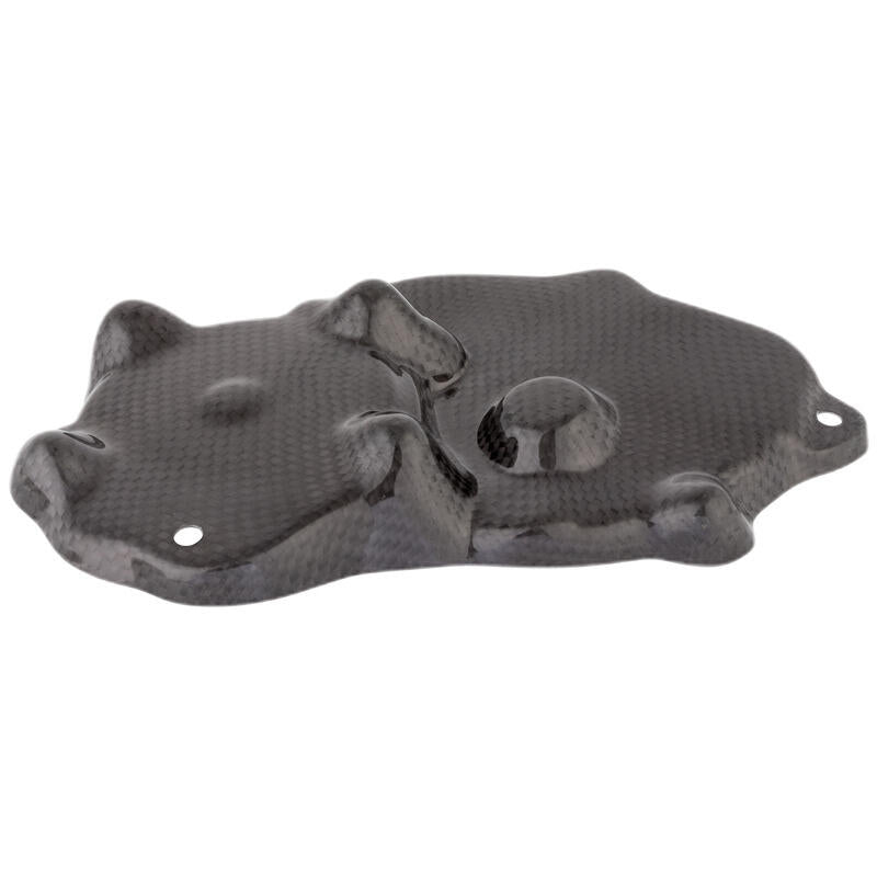 Couverture de ramassage de carbone LightEch (Glossy) Kawasaki ZX-6R Performance (2013-2015)