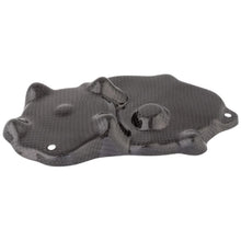 Couverture de ramassage en carbone LightEch (brillant) Kawasaki ZX636 (2009-2021)