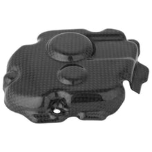 Couverture de ramassage en carbone LightEch (brillant) Kawasaki ZX-10R KRT (2011-2023)