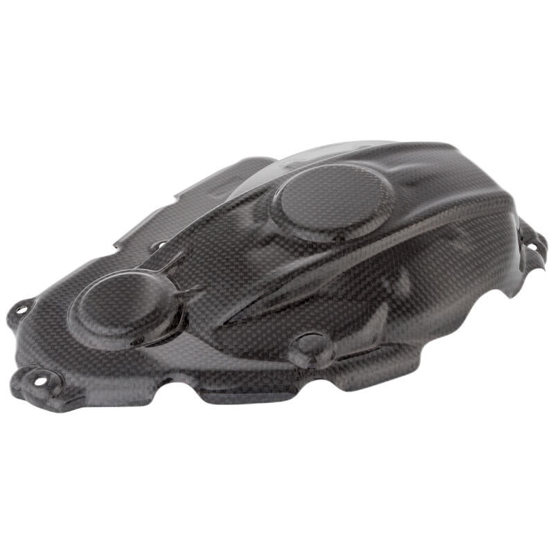 SHELTER DE MOTEUR DE CARBON LIGHTECH (MAT) Suzuki GSX-R 1000 (2017-2022)