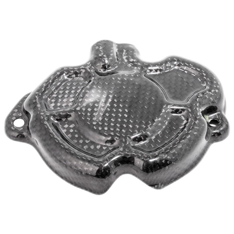 Couverture de ramassage en carbone LightEch (brillant) Yamaha MT-10 (2016-2021)