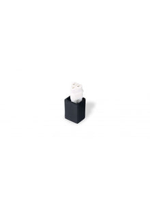 Support de support latéral Dongle Ducati Ducati Panigale V4 Sp2 30 Anniversario 916 (2024+)