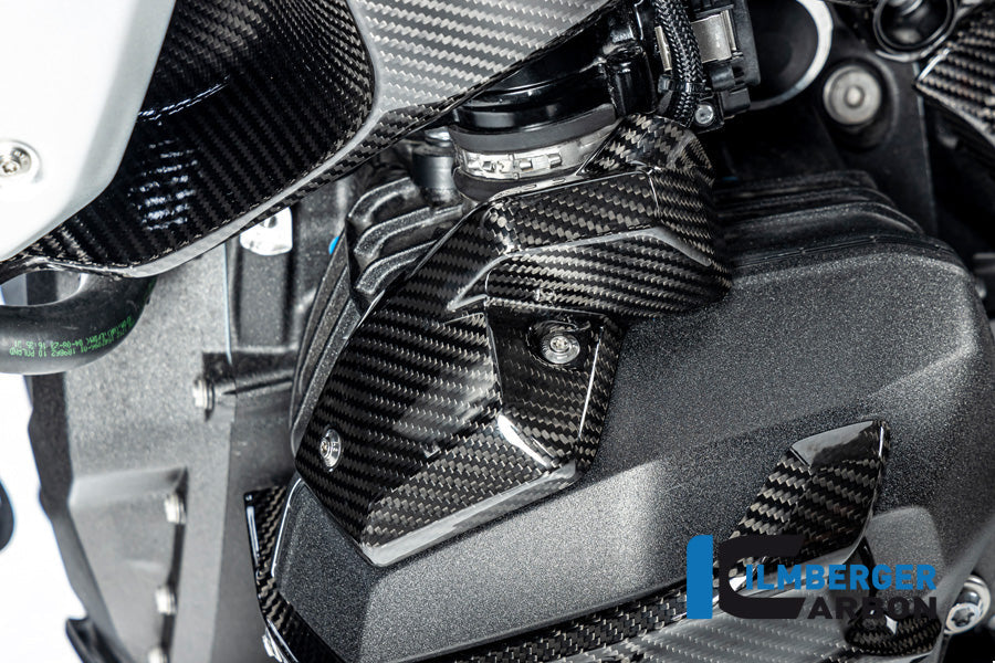 Injector Cover links glanzend carbon BMW R1300GS 2023+
