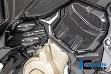 Waterpomp beschermer glanzend carbon Ducati Multistrada V4 (2021-2024)