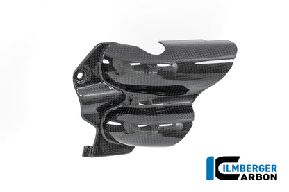 Waterpomp beschermer glanzend carbon Ducati Multistrada V4S Sport (2021-2024)
