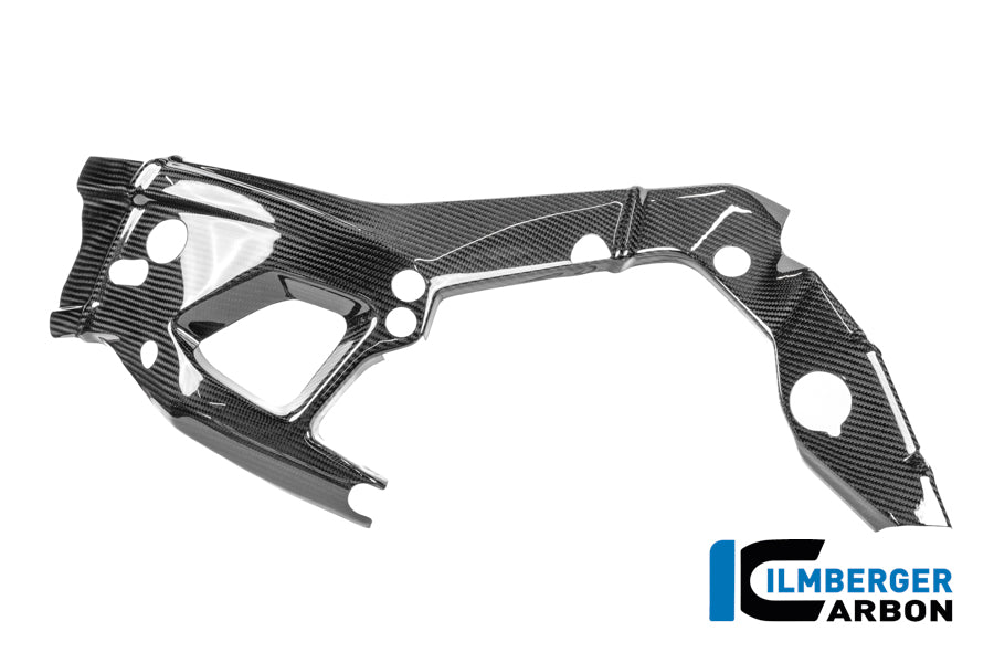 Frame beschermer (links) glanzend carbon - BMW M 1000 RR Street (2025+)
