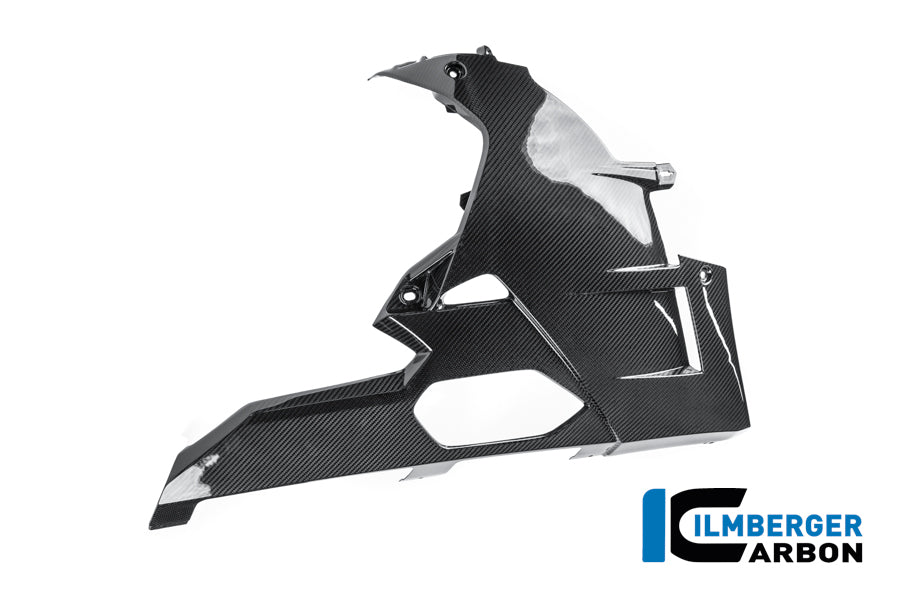 Bellypan glanzend carbon BMW M 1000 RR Street (2025+)