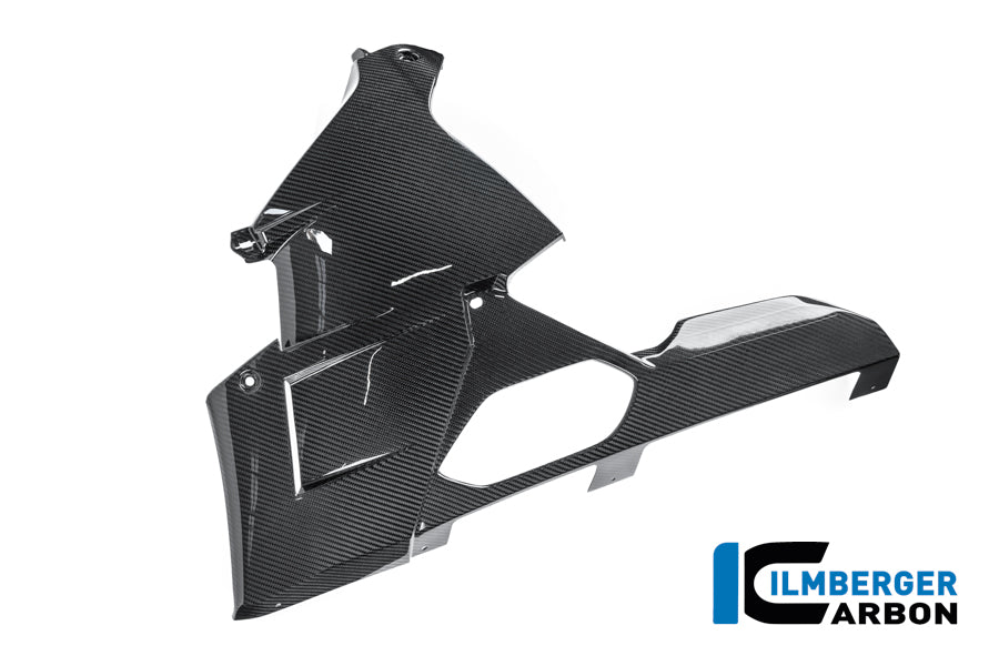 Bellypan glanzend carbon BMW M 1000 RR Street (2025+)