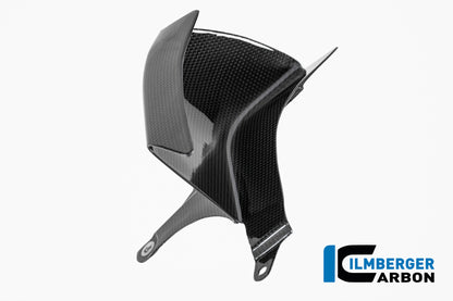 Onderste winglet links glanzend carbon Ducati Multistrada V4S (2025+)