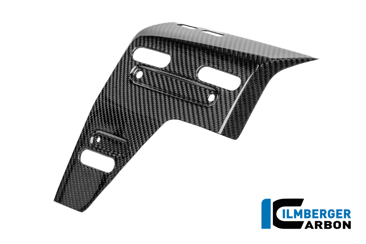 Panneau latéral de radiateur gauche avec points de fixation pour valises latérales Carbone brillant BMW R1300GS Adventure Triple Black (2024+)