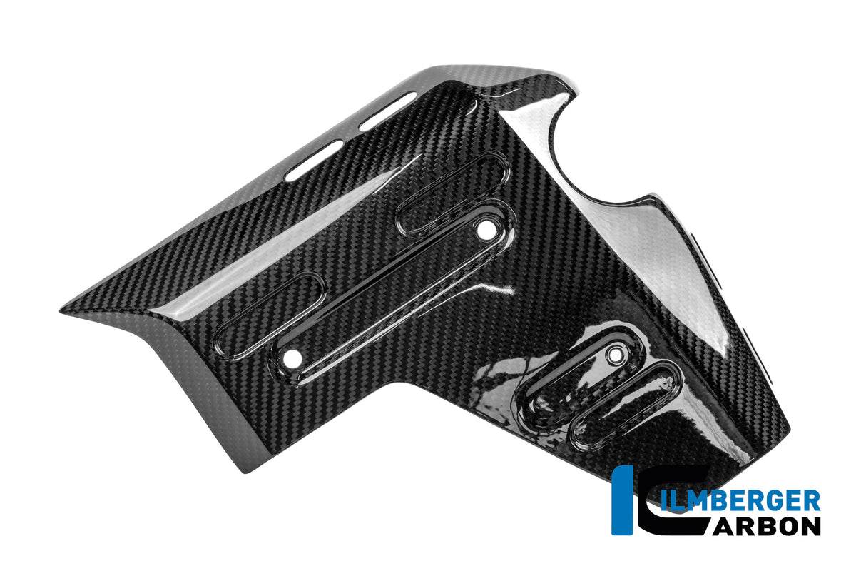 Panneau latéral de radiateur droit en carbone brillant BMW R1300GS Adventure Option 719 Karakorum (2024+)