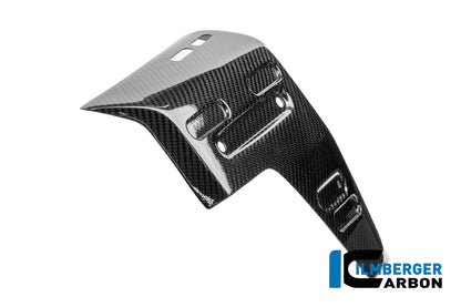 Panneau latéral de radiateur droit en carbone brillant BMW R1300GS Adventure Option 719 Karakorum (2024+)