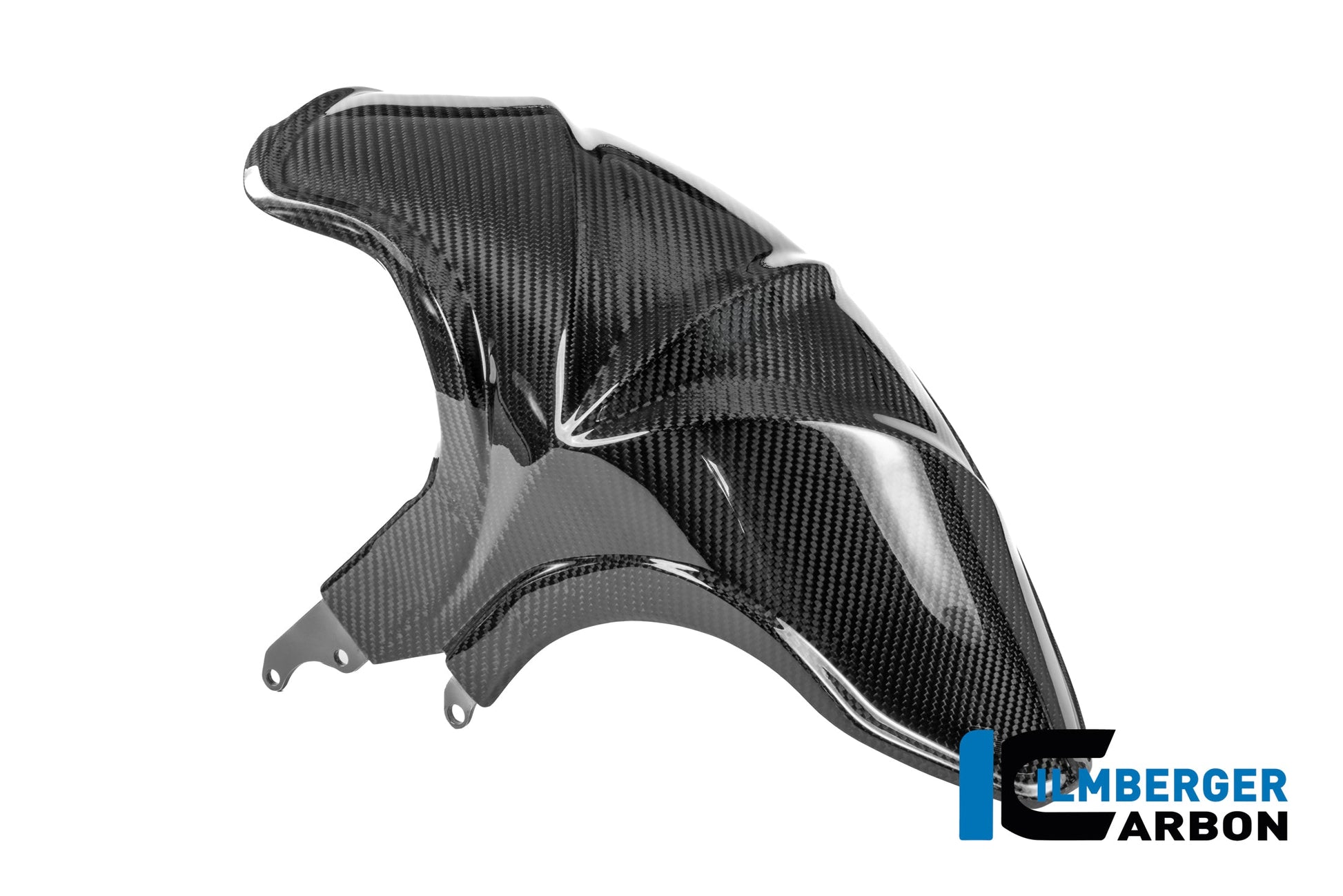 Achterspatbord carbon hoogglans BMW R1300R Performance (2025+)