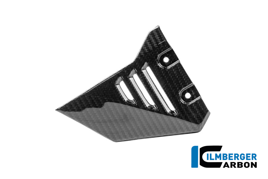Frame Triangle Cover Side gauche BMW R1250GSA Adventure (2019+)