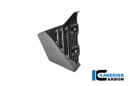 Frame Triangle Cover Side gauche BMW R1250GSA Adventure (2019+)