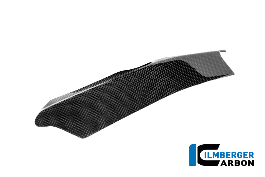 Zijpaneel (links) glanzend carbon Ducati Panigale V4R (2026+)