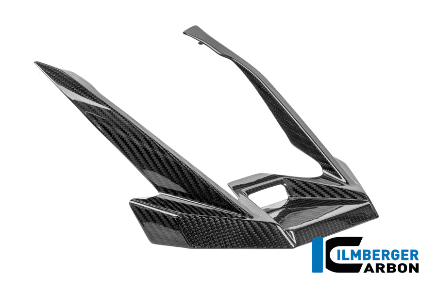Voorspatbord 'Snavel' verlenging glanzend carbon BMW R1300GS Adventure Triple Black (2024+)