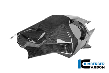 Achterbrugcover (links) glanzend carbon Ducati Panigale V4R Racing (2025+)