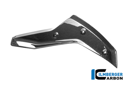 Panneau latéral sous le réservoir gauche BMW R 1250 R (2019+)