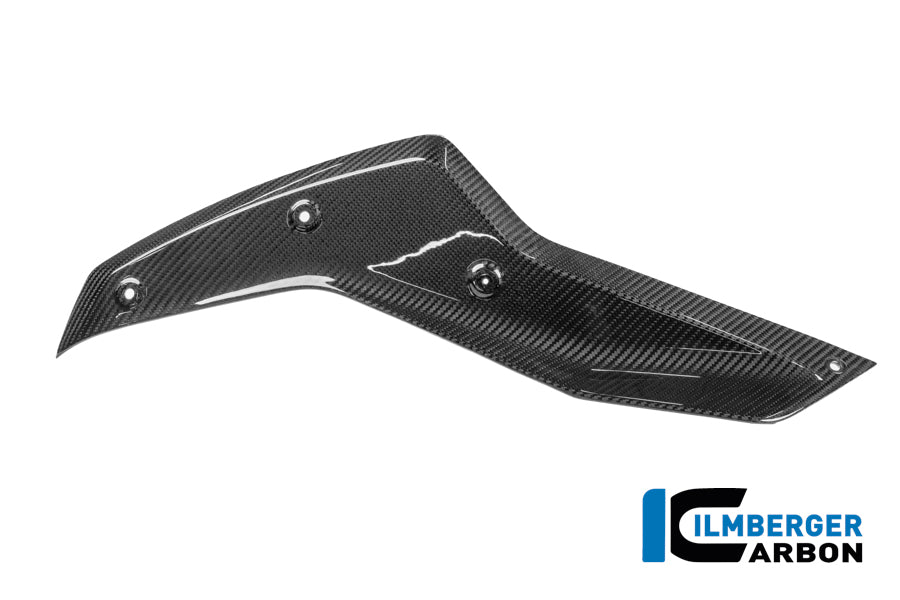 Panneau latéral sous le réservoir gauche BMW R 1250 R (2019+)