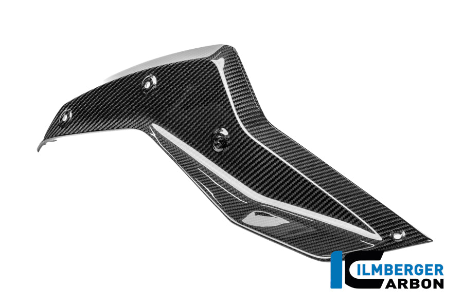 Panneau latéral sous le réservoir gauche BMW R 1250 R (2019+)