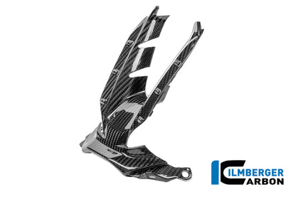 Luchtinlaat glanzend carbon BMW S 1000 RR (2025+)