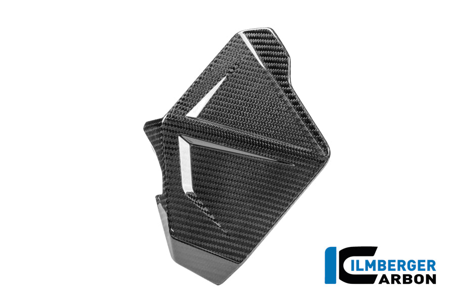Windgeleider (deflector) links glanzend carbonBMW R1300GS Adventure Trophy (2024+)
