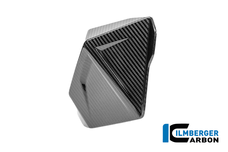 Windgeleider (deflector) links glanzend carbonBMW R1300GS Adventure Trophy (2024+)