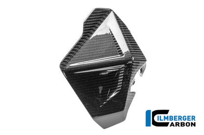 Windgeleider (deflector) rechts glanzend carbon BMW R1300GS Adventure Trophy (2024+)