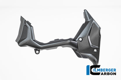 Voortandwielcover mat carbon Ducati Multistrada V4RS (2025+)